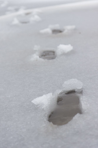 Winter is Back - Slushy footprints