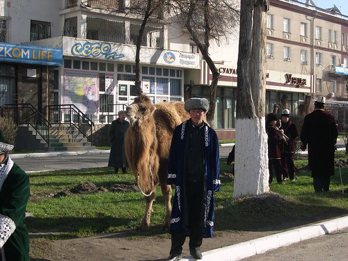 Man with Camel ©  upyernoz