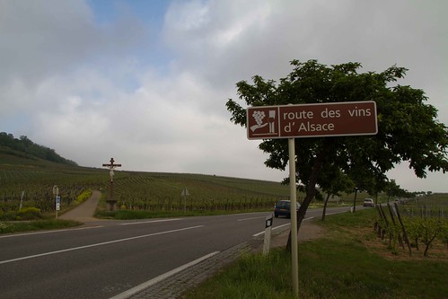 route des vins d' Alsace 20110430-IMG_9843