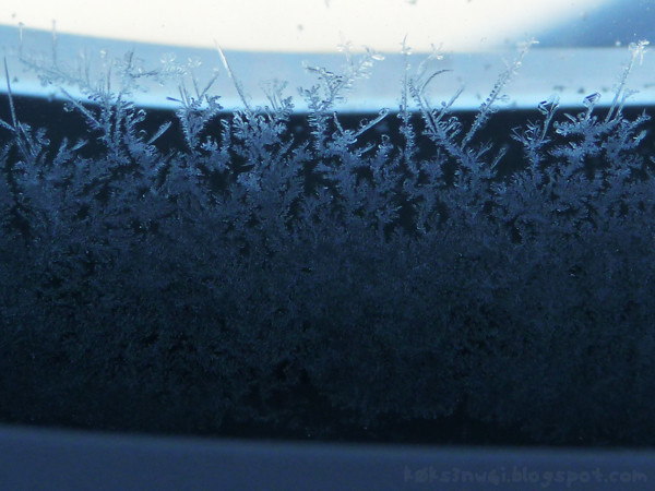 Frost on the Airplane Window