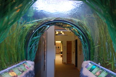 Walk Through Aquarium
