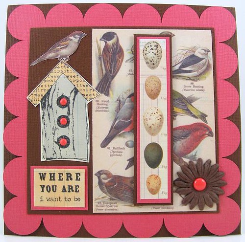Scalloped Square Birds Card