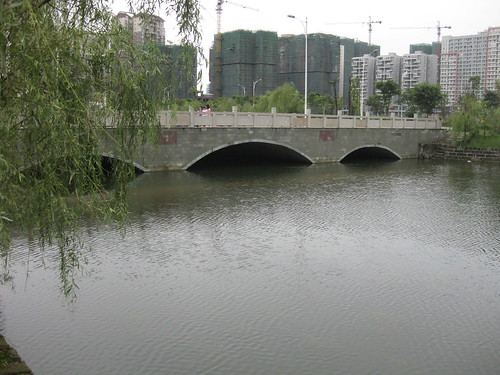 Bridge, 2009