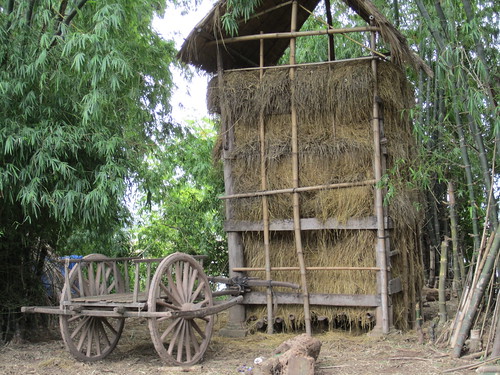 hay and wagon