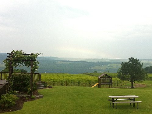 Lakewood Vineyards View
