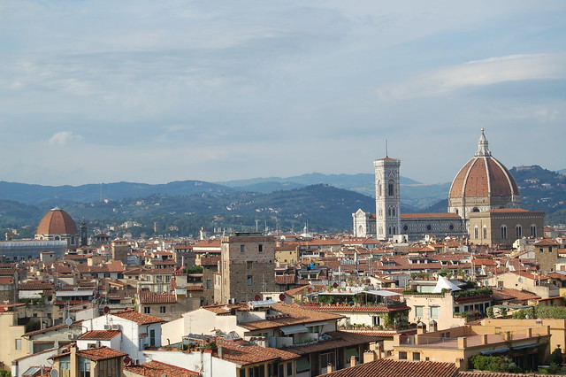 Florence from the Pitti
