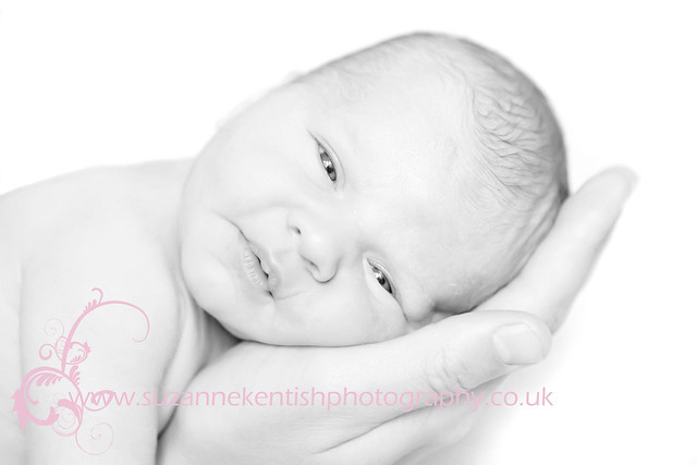 Newborn photography - Suzanne Kentish Photography