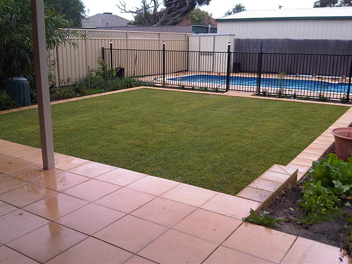 Complete lawn by sdabel