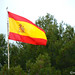 V de V Jarama 2011 - Bandera España
