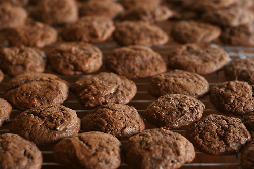 chocolate cake cookies 2