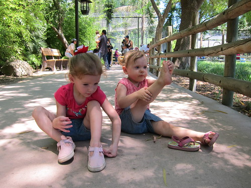 Zoo 7-3-2011