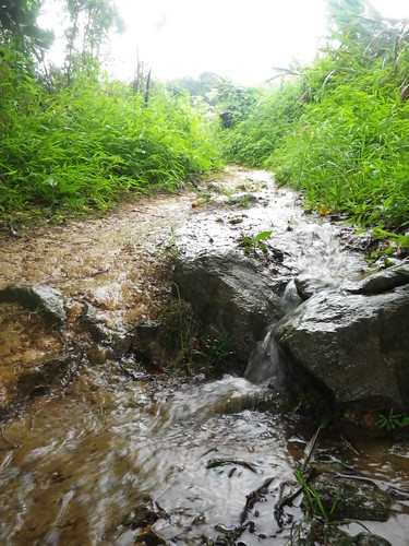 20110629 Torrential Rain Road/Trail Run