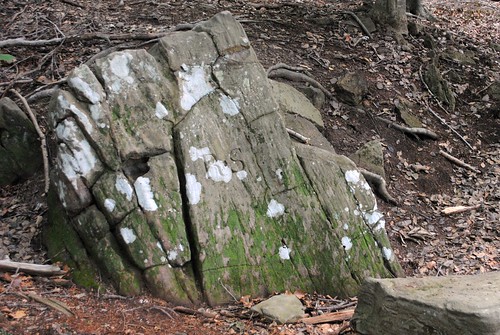 Stone mason Robert Steuart's boundary marker on Government Island