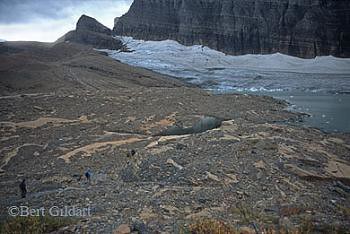 Grinnell Glacier 2006