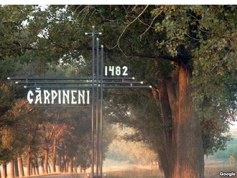 carpineni