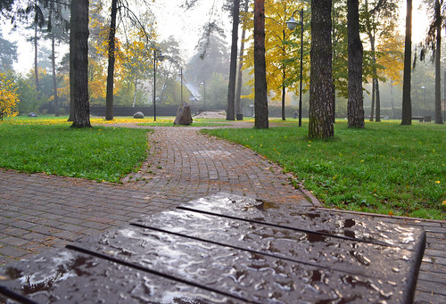 A wet morning at the october's Marina Tzvetaeva Park ©  Sergey Tchernykov