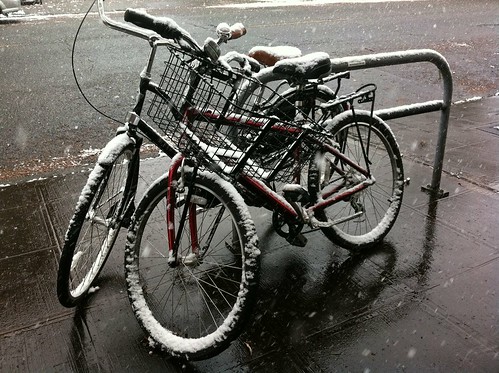 Bikes Covered in Snow in Fremont