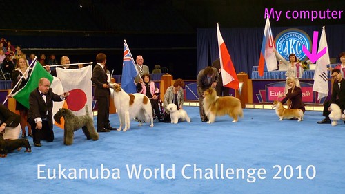Eukanuba World Challenge