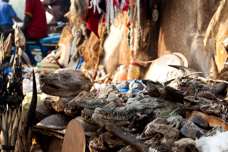 Рынок фетишей. Бамако, Мали. IMG_4223