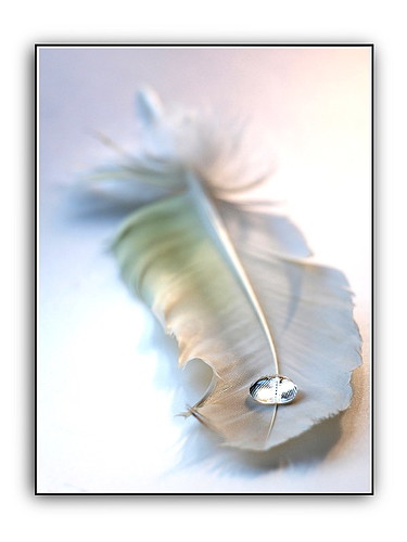   feather & water drop 5  