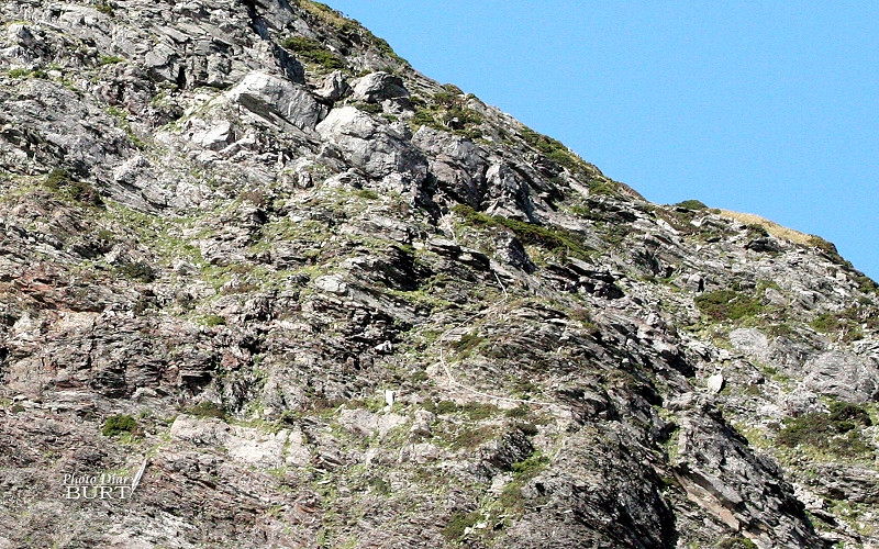奇萊北峰旁光禿的石壁