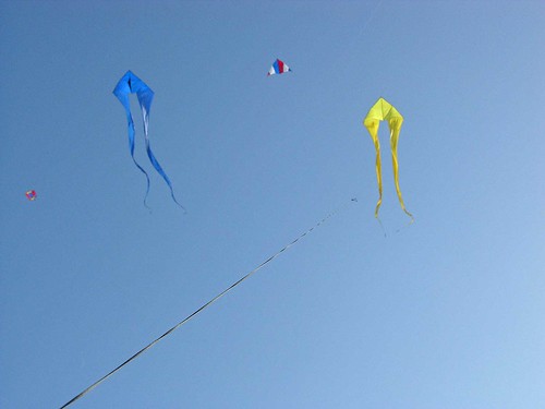 Winter Kite Festival 2008 thick kite line