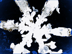 Snowflake by carlson.emily3845