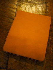 SGP Pouch for iPad (7)
