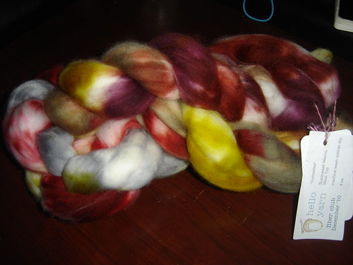 Hello Yarn Fiber Club "Curiosities" Dec 2010 - Superwash  Merino Wool Top