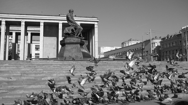 Moscow Doves