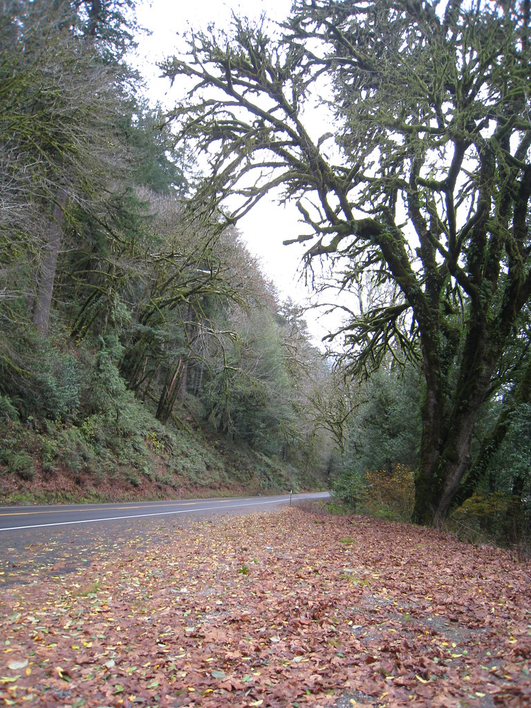 Thanksgiving Roadtrip 2010