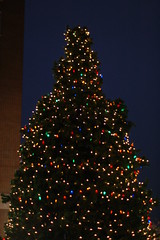 Greenville Christmas Tree