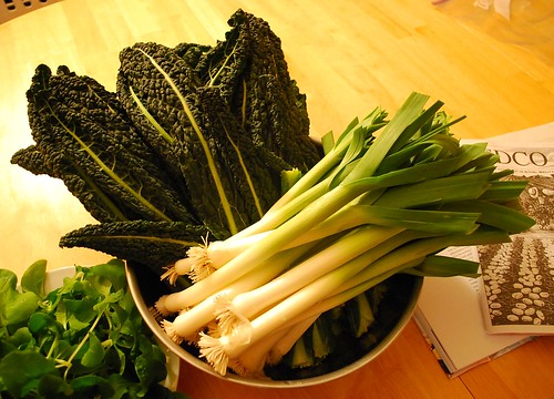 Mid December Kale and Leek Harvest