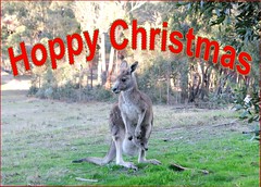 eCard- Christmas Greetings- Kangaroo, Hoppy Christmas