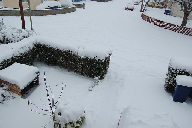 A snowy front garden and street