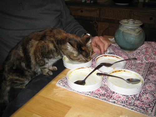 Stella likes dessert