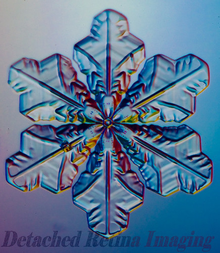 Snowflake January 8th --16