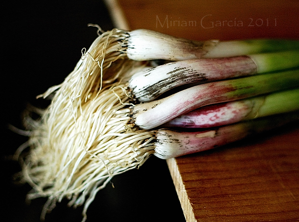 Soft garlic 1