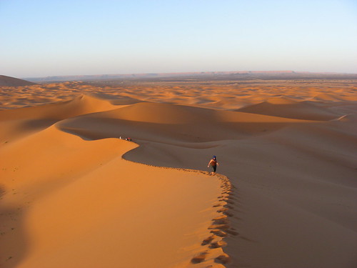 Sahara Dreaming