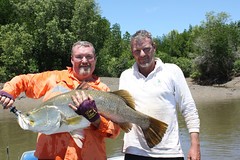 Nice 42" Barramundi from the Daly River