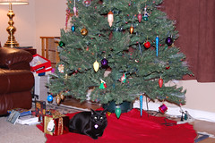 Buddah under the tree