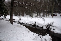 Brushy Creek in Snow