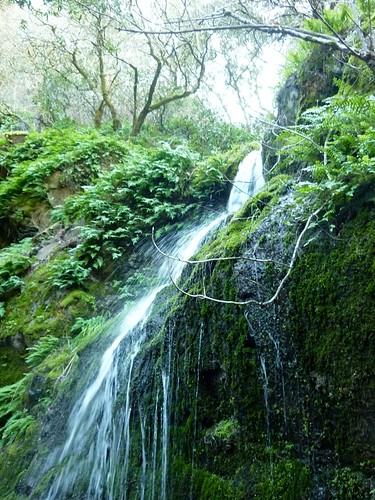 Fairway Waterfall