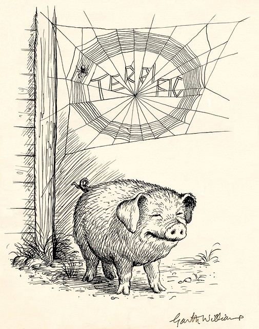 ink sketch of happy pig below the word 'terrific' woven in spider's web