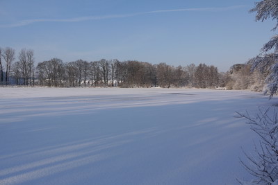 Winter am Rubbenbruchsee