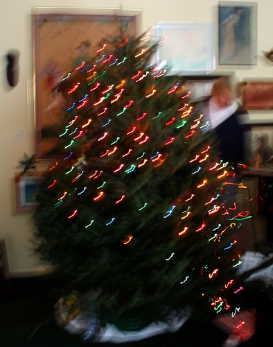 christmas trees 005