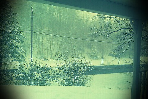 Morning snow 12/26/2010