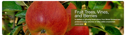 banner_fruit_trees