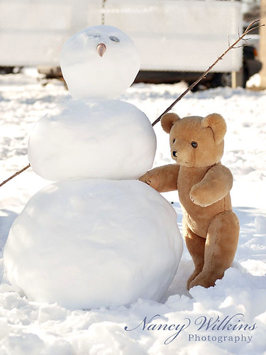 Teddy and the snowman