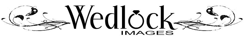logo-website copy